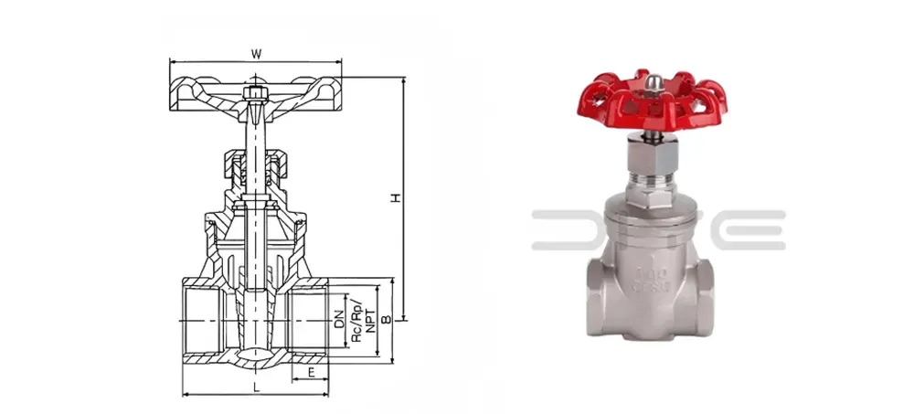 Stainless Steel Threaded Gate Valve